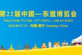 第22届东博会与印尼企业座谈会在雅加达成功举办图片