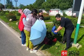 一女子骑行车摔倒受伤不能动弹，两把“热心伞”替她遮挡太阳图片
