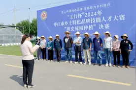 2024年枣庄市乡土特色品牌技能人才大赛  “薄皮辣椒种植”项目比赛在薛城区周营镇举办图片