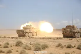 高燃！解放军驻吉布提保障基地开展实兵实弹演练图片