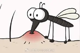 孩子被蚊子咬了特别大的包，应该怎么办？图片