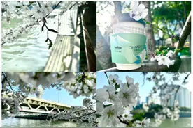 春日Coffee Walk 邂逅都市中的繁花浪漫 品味拉瓦萨的春意盎然图片
