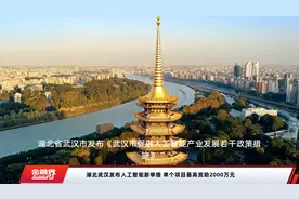 湖北武汉发布人工智能新举措 单个项目最高资助2000万元视频封面