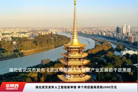 湖北武汉发布人工智能新举措 单个项目最高资助2000万元视频封面