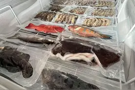 越来越多“生猛海鲜” 从海南加速“游”上全国餐桌图片