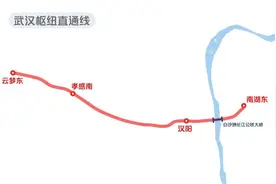 武汉将新增一座高铁站图片