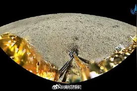 嫦娥六号的月背打卡照来了！图片