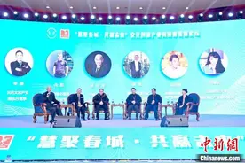 云南文创产业如何突围？专家拔剑指“南”图片