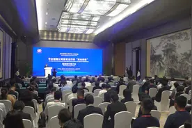 中日跨国公司投资合作“双向奔赴” 瑞穗银行推介会在青岛举行图片