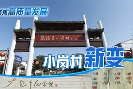 聚焦高质量发展丨安徽：小岗村新变图片