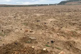 内蒙古一村社起诉煤企倒剥离土破坏400亩土地，当地自然资源局：正帮助解决此事图片