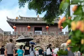通票，当天不限乘坐次数！大鹏旅游观光线发车啦图片