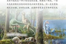 “恐龙院士”徐星：恐龙真的有这么大吗？图片