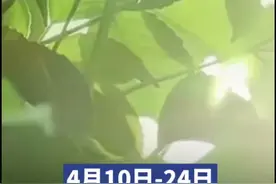 4月10日起，湖南2024年普通高校招生体育统考开考图片