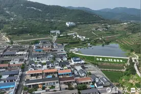 日照岚山：茶旅融合，绘就诗和远方新画卷图片