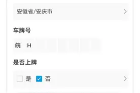 落地7省！比亚迪保险开通自主投保，部分其他品牌也可参保 王传福：要做到不赔钱还能赚钱图片