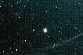 冷冷冷~阳春三月，曲靖这些地方下雪啦！图片