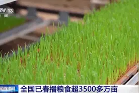 全国已春播粮食3500多万亩，进度与上年基本持平图片