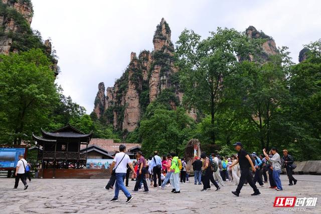 夏日旅游升温 张家界国家森林公园迎来八方客