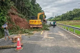 暴雨致山体滑坡，30多棵大树倒在路上，衢州九华乡紧急排险图片