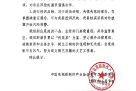 蓝鲸 | 短剧顶流“塌房”上热搜：相关作品暂未受影响，业内背调难度较大图片