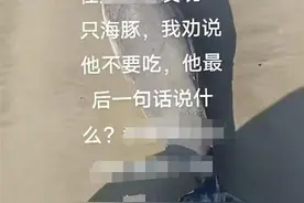 海豚搁浅惠州双月湾沙滩，重庆游客好奇意图拖走图片