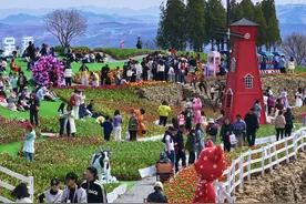 山东博山：“赏花经济”让“颜值”有价值图片