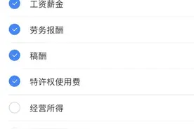 显示利息、股息所得，个人所得税APP新增“五项个人所得”图片