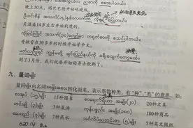 舆论漩涡下的缅甸语专业学生：对误解感到无奈图片