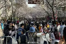 直冲32℃！但还有反转，南京接下来......图片