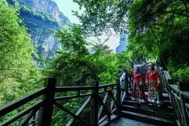 贵州织金洞世界地质公园：溶洞天坑探奇珍图片