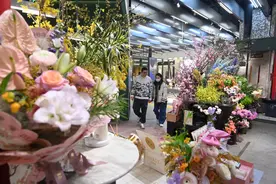 京城花市上新了！有韭菜花、牡丹菊、垂丝茉莉……图片