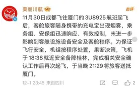 充电宝冒烟致航班备降，为何充电宝能“上飞机”却不能使用？图片