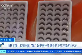 “翘”动世界！全球70%假睫毛来自山东平度，年产值超百亿元图片