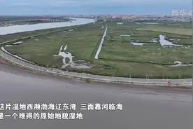 中央媒体看辽宁丨新华社：青山不改 绿水长流——昔日“垃圾山”变身如今的“仙鹤湾”图片