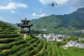 寻“绿”非洲——中非商路融入东方茶文化图片