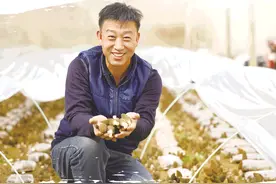 贾贵森：探索路上的新农人图片