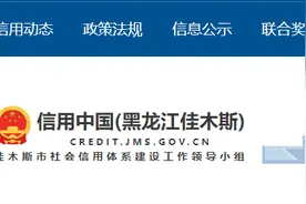 车辆无道路运输证参加货物运输，黑龙江绥化市一运输公司受处罚图片