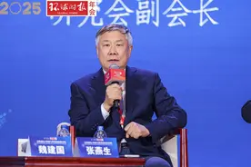 张燕生：在中美AI技术能力竞争中，中国优势在于大市场以及三大能力图片