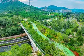 绿色之城，何以“炼“成图片