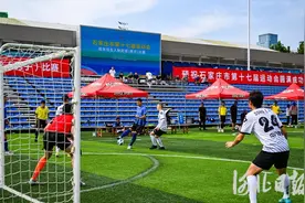 跃动绿茵场图片