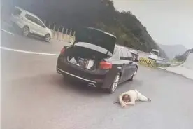 男子深夜醉驾上高速，半路犯困，竟然睡在……图片