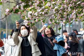春天花“卉”开 繁花似锦引客来图片