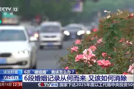 法治在线丨女子6次“被结婚”是如何被冒名的？撤销登记为何困难？图片