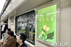 “长沙的地铁真好闻，是栀子花的香味”，“宁乡喻家坳栀子花香专列”将持续运行至11月底图片