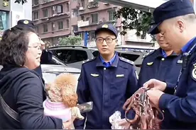 多地加强养犬管理，推动养犬管理条例落地图片