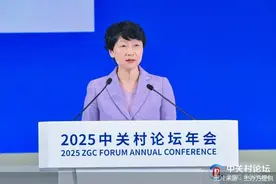 2025中关村论坛年会｜专访张晓燕：盲目跟进大模型将陷入被动，中小企业可转向轻量化“小模型”创新图片