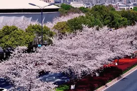 最新确认：今夜抵达杭州！断崖式暴跌！下暴雨、冰雹、强雷电……图片