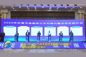 签约金额超30亿元！2025年东营市金融助力乡村振兴重点项目签约会成效显著图片