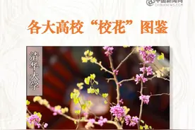 转发收藏！各大高校校花图鉴图片